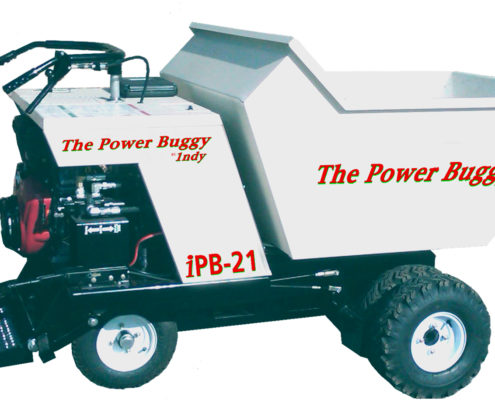 power buggy for sale