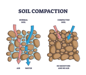 soil compaction diagram